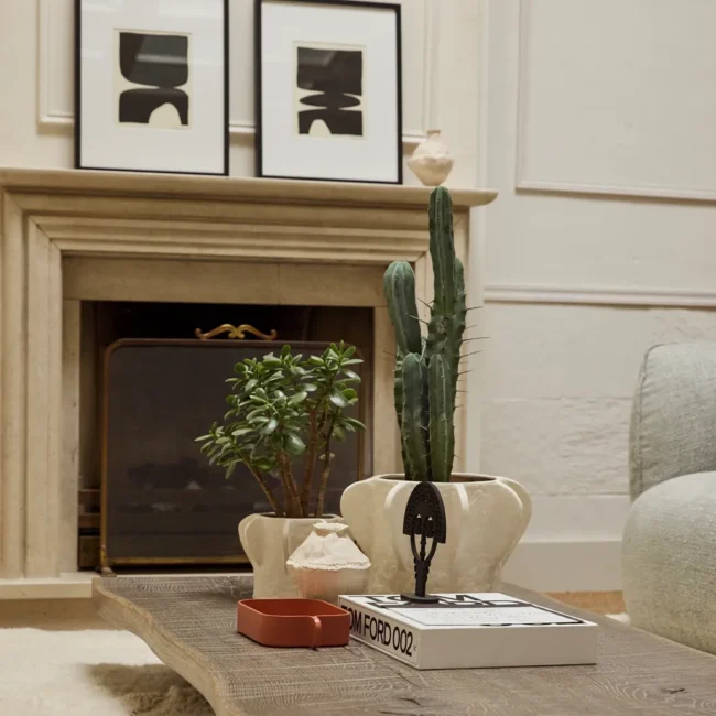 Ein stilvolles Wohnzimmer mit einem Kamin, einer modernen Couch und dekorativen Pflanzen auf einem Tisch.